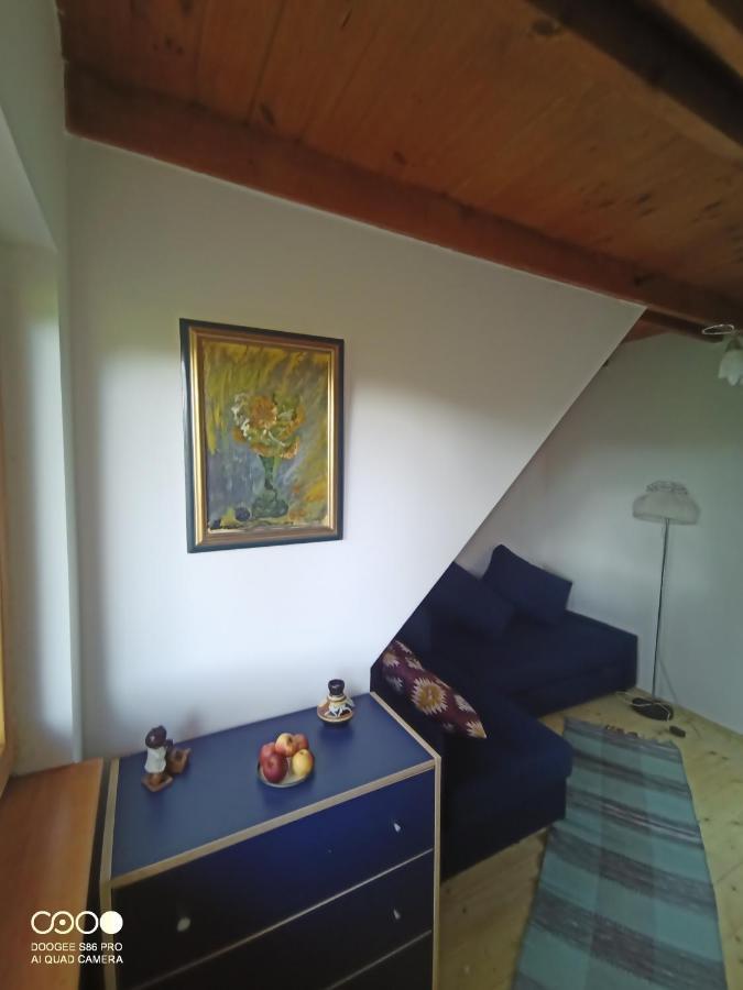Tőckés Vendégház Pankasz Kültér fotó